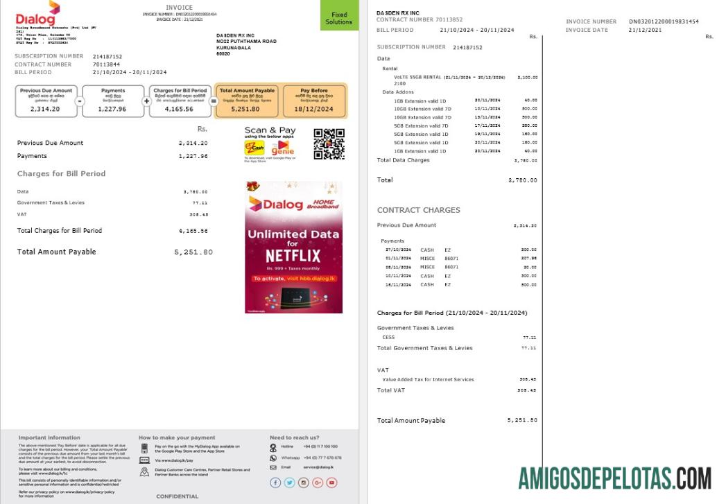 Em branco modelo de conta de serviços públicos de diálogo do Sri Lanka em formatos Word e PDF, 2 páginas